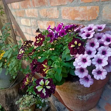 Apartament Bilard Nad Baltykiem アパート グディニャ