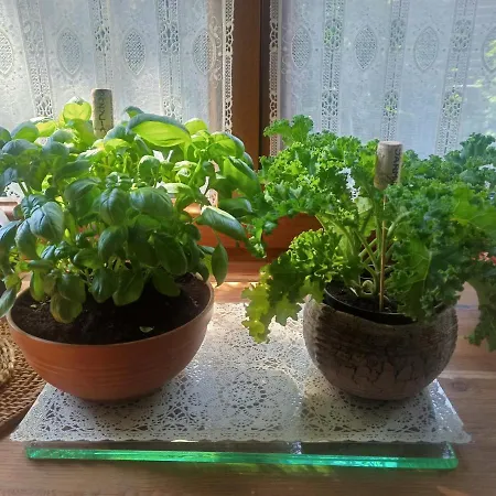 Apartament Bilard Nad Baltykiem グディニャ