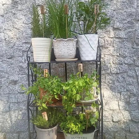 Apartament Bilard Nad Baltykiem グディニャ