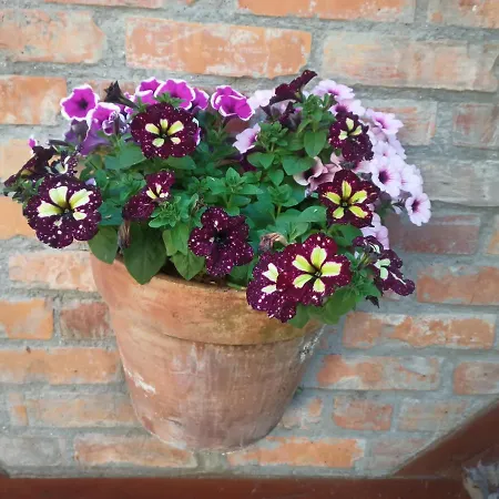 Apartament Bilard Nad Baltykiem * グディニャ