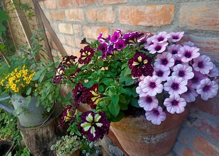 Apartament Bilard Nad Baltykiem Apartament Gdynia