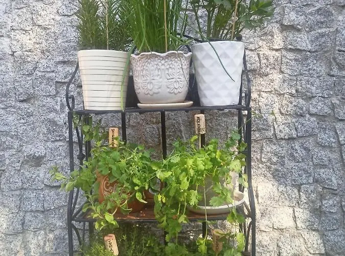 Apartament Bilard Nad Baltykiem Gdynia