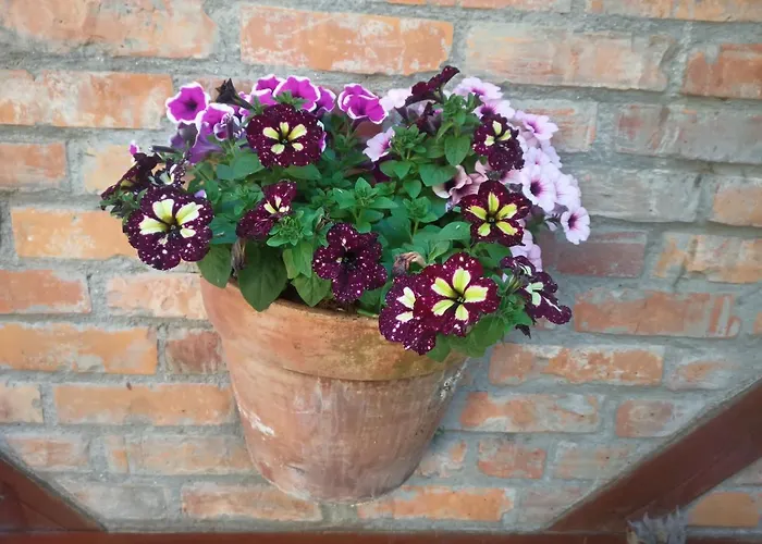 Apartament Bilard Nad Baltykiem * Gdynia